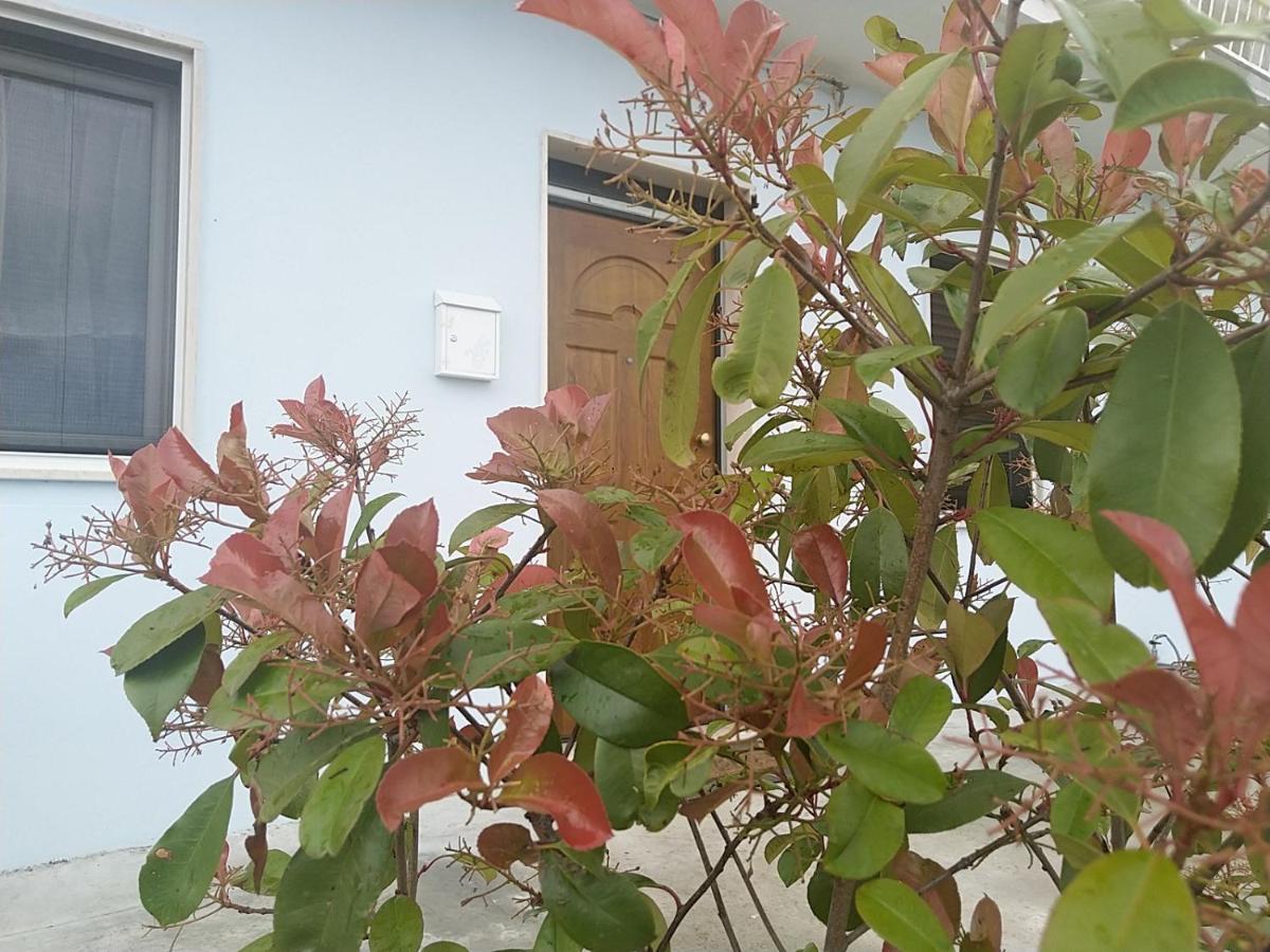 Rosa Dei Venti House Villa Campomarino  Luaran gambar