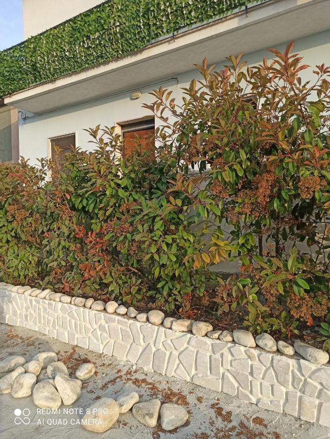 Rosa Dei Venti House Villa Campomarino  Luaran gambar